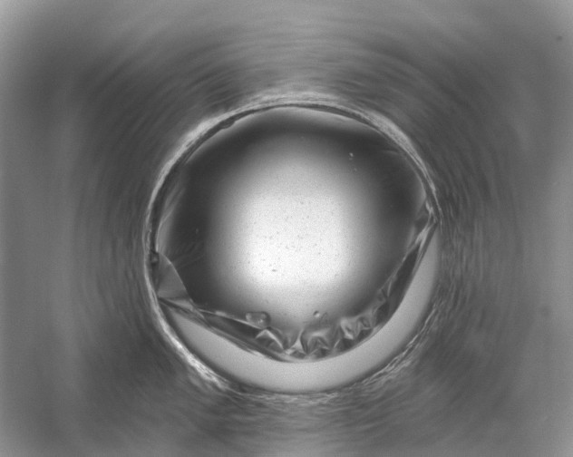 X0000058771005200510171221