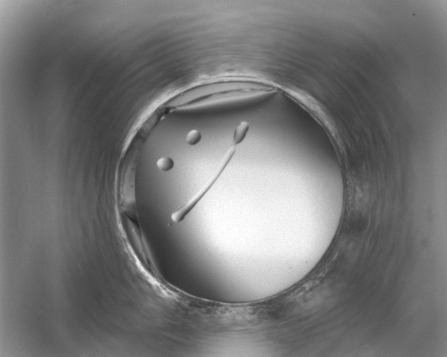 X0000058771006200510171221