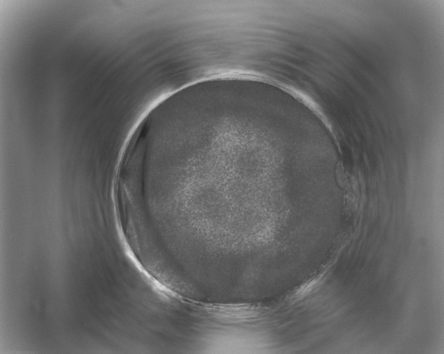 X0000058771007200510171221