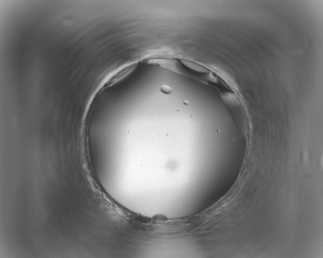 X0000058771008200510171221