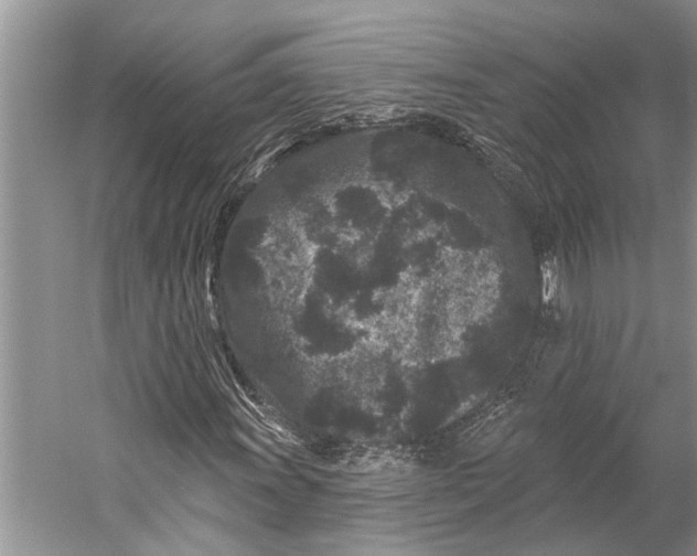 X0000058771011200510171220