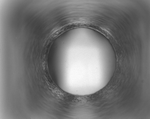 X0000058771015200510171220