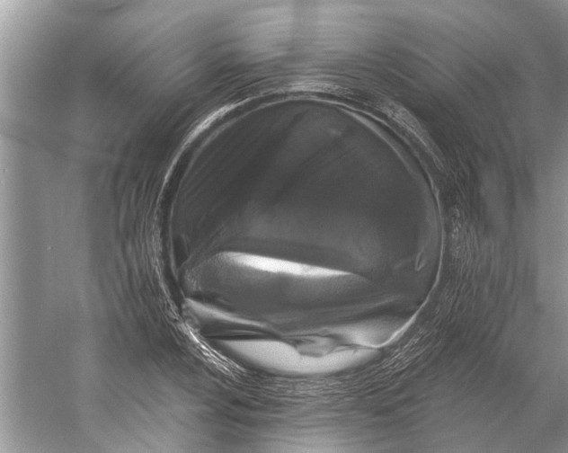 X0000058771024200510171220