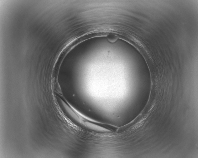 X0000058771029200510171220