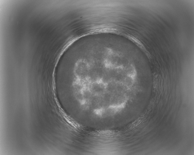 X0000058771031200510171220