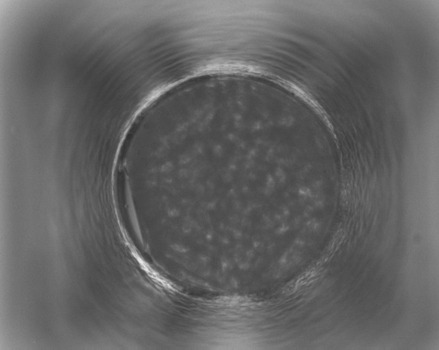 X0000058771037200510171220