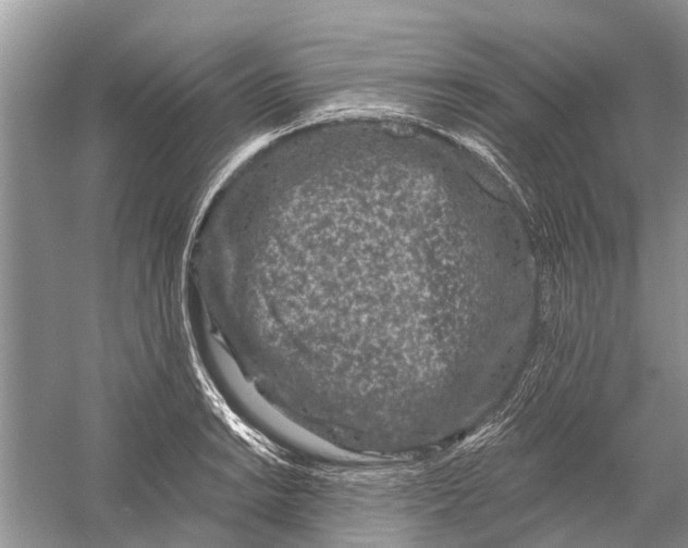 X0000058771038200510171220