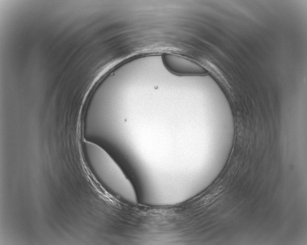 X0000058771044200510171220