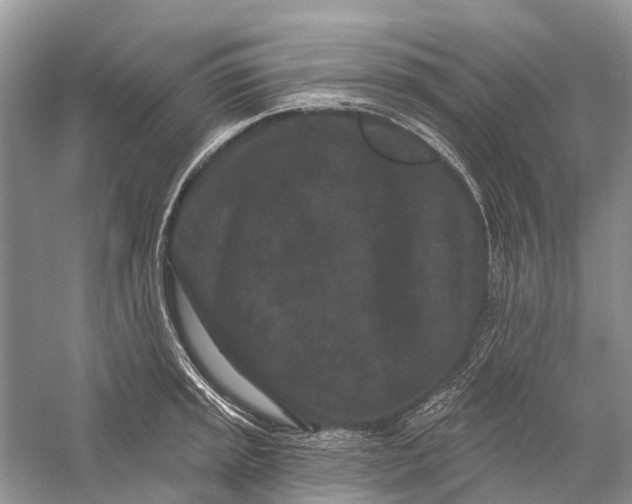 X0000058771045200510171220