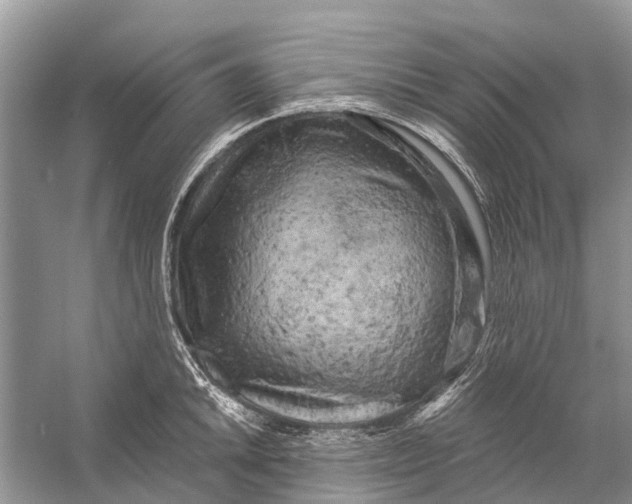 X0000058771046200510171220