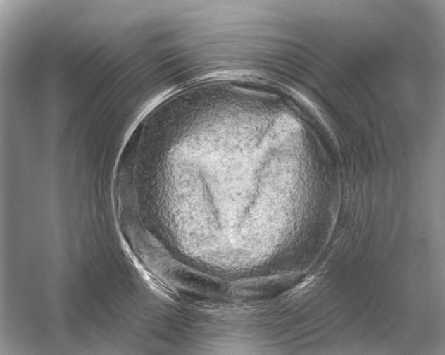 X0000058771050200510171221