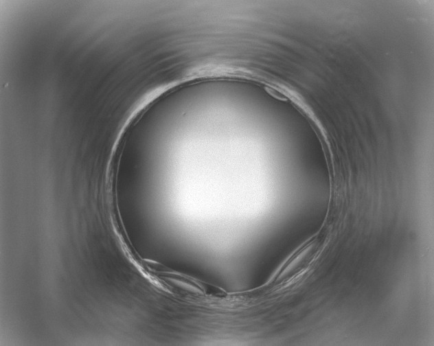 X0000058771053200510171221