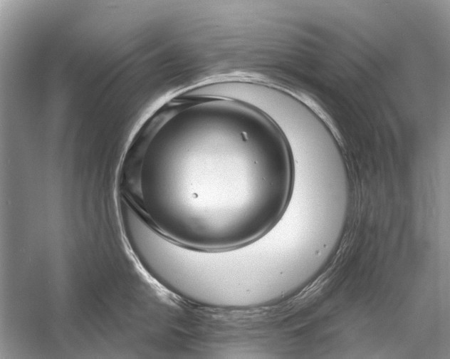 X0000058771054200510171221