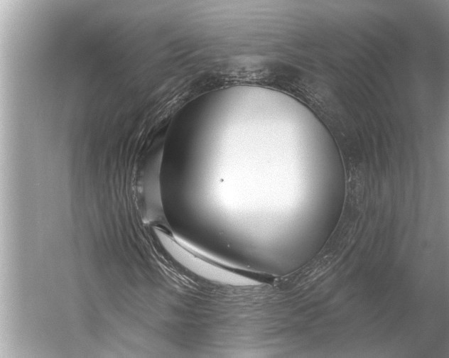 X0000058771058200510171220