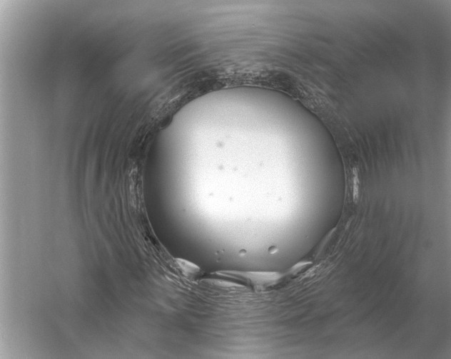 X0000058771059200510171220