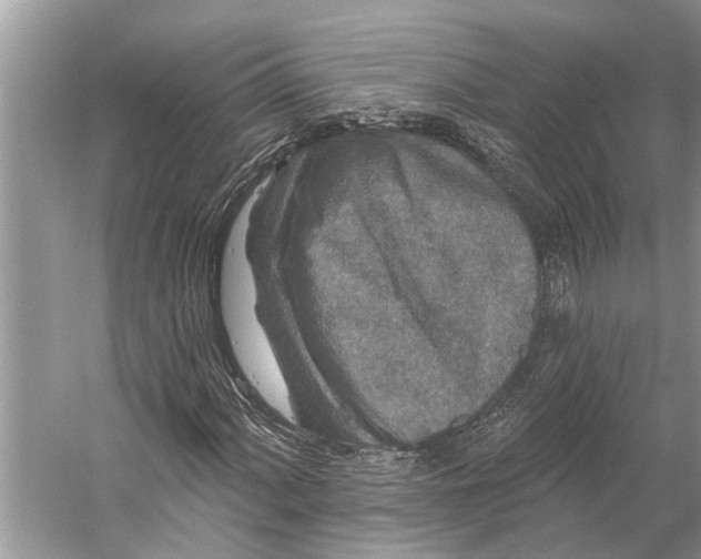 X0000058771060200510171220