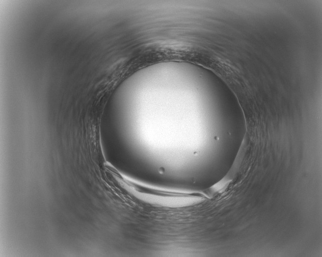 X0000058771061200510171220