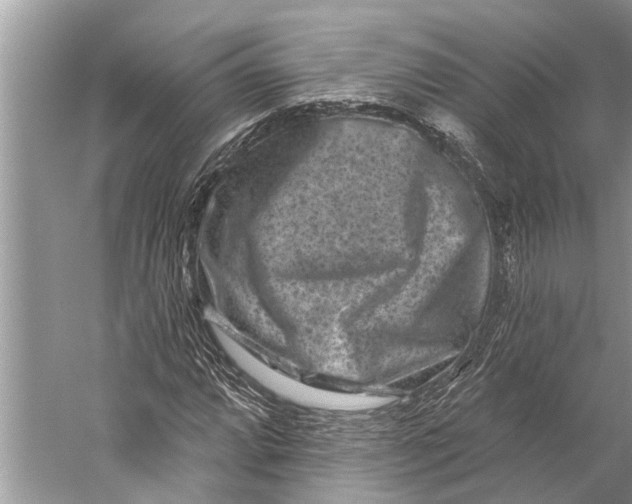 X0000058771064200510171220