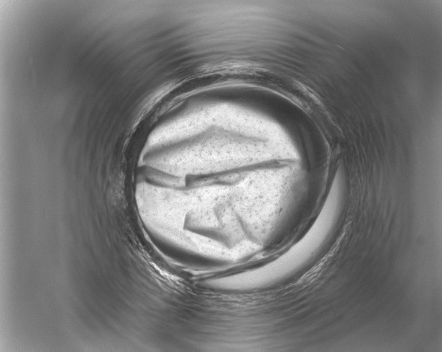 X0000058771066200510171220