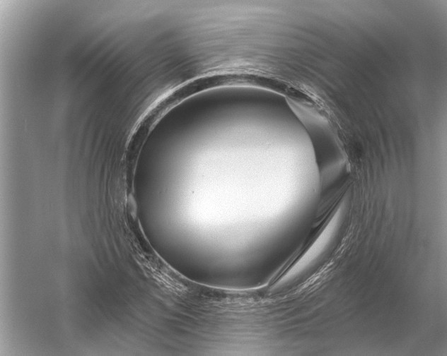 X0000058771069200510171220