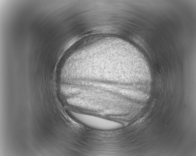 X0000058771071200510171220