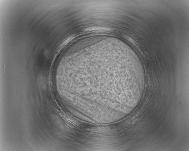 X0000058771074200510171220