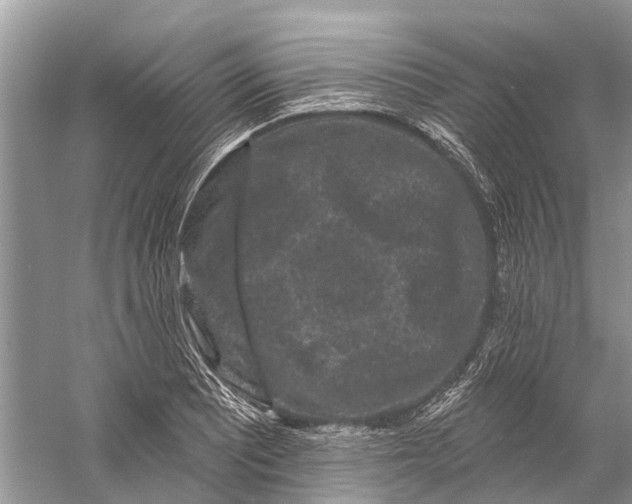 X0000058771081200510171219