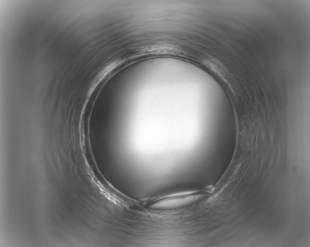 X0000058771082200510171219