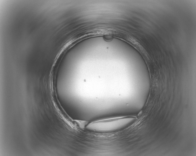 X0000058771083200510171219