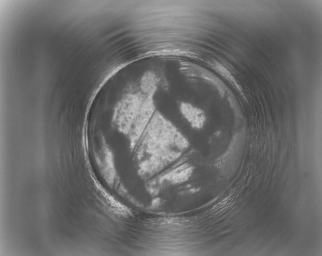 X0000058771084200510171219