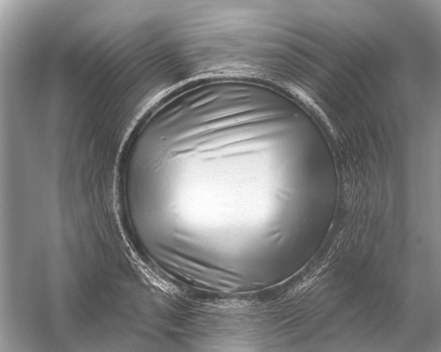 X0000058771085200510171219