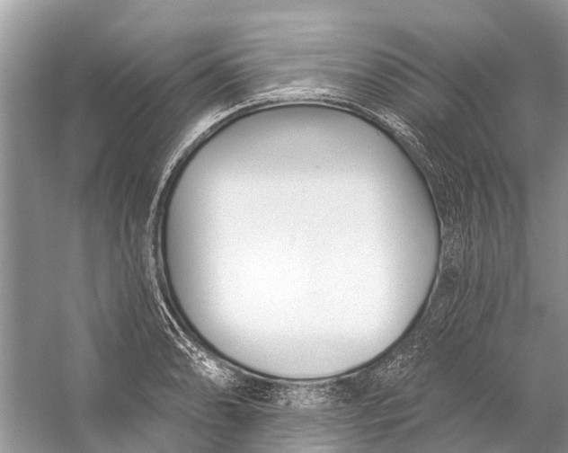 X0000058771086200510171219