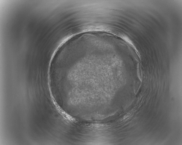 X0000058771088200510171219