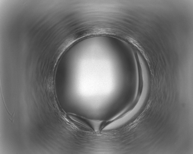 X0000058771089200510171219