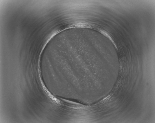 X0000058771091200510171219