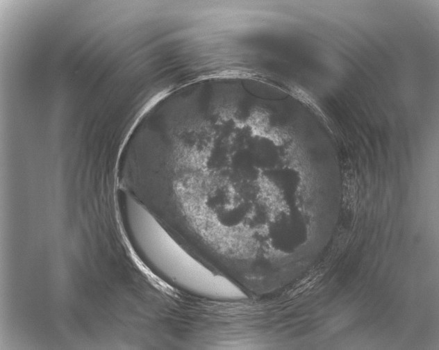 X0000058771095200510171219