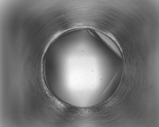 X0000058771096200510171219