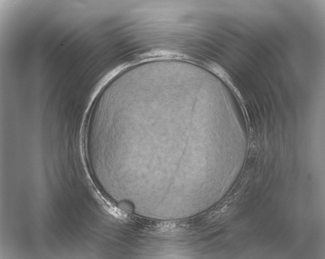 X0000058771098200510171219