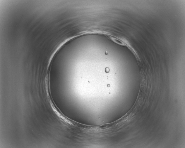 X0000058771100200510171219