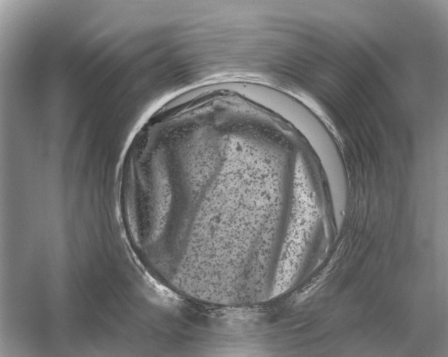 X0000058771102200510171219