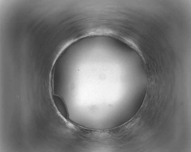 X0000058771103200510171219