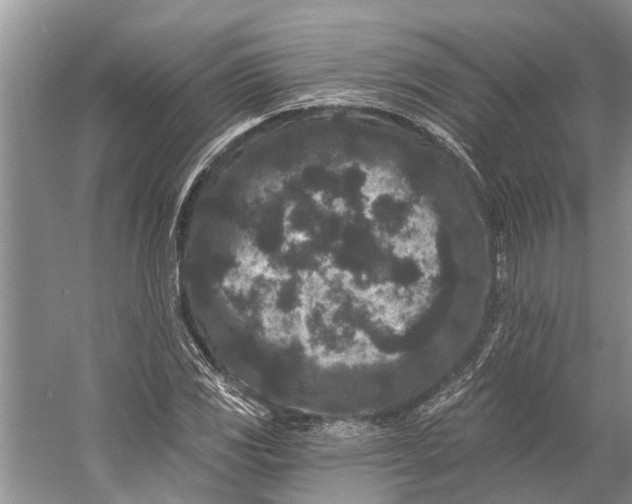 X0000058771117200510171218