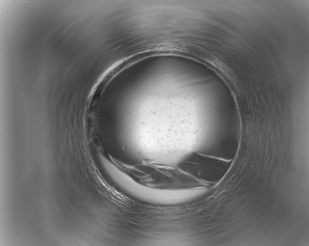 X0000058771120200510171218