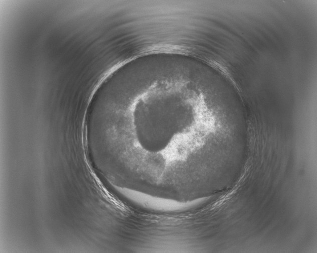 X0000058771125200510171219