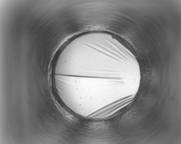 X0000058771126200510171219