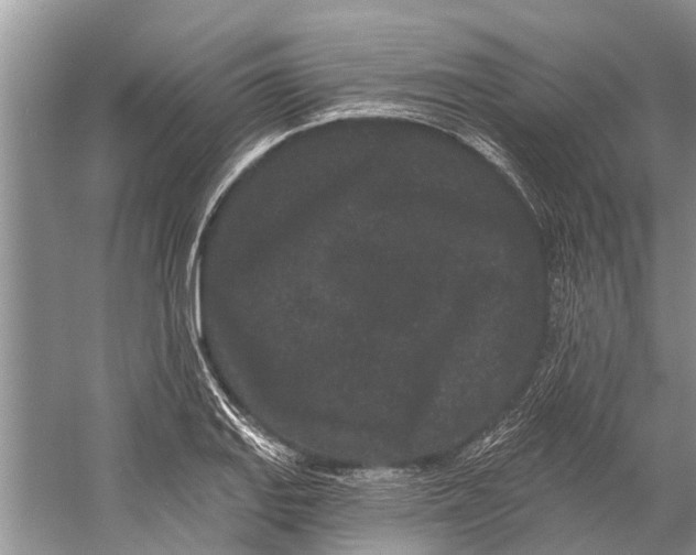 X0000058771127200510171219