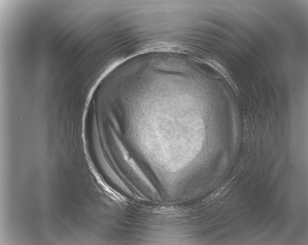 X0000058771128200510171219