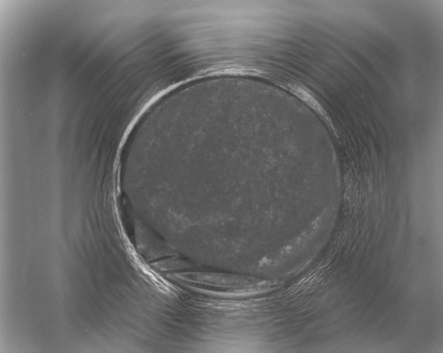 X0000058771132200510171219