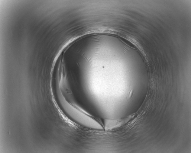 X0000058771136200510171219