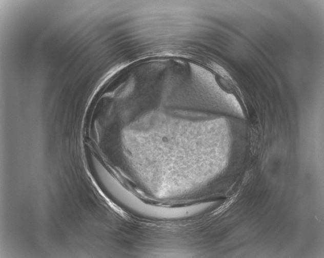 X0000058771141200510171219